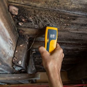 MOLD TESTING SERVICES IN PASADENA, CA​